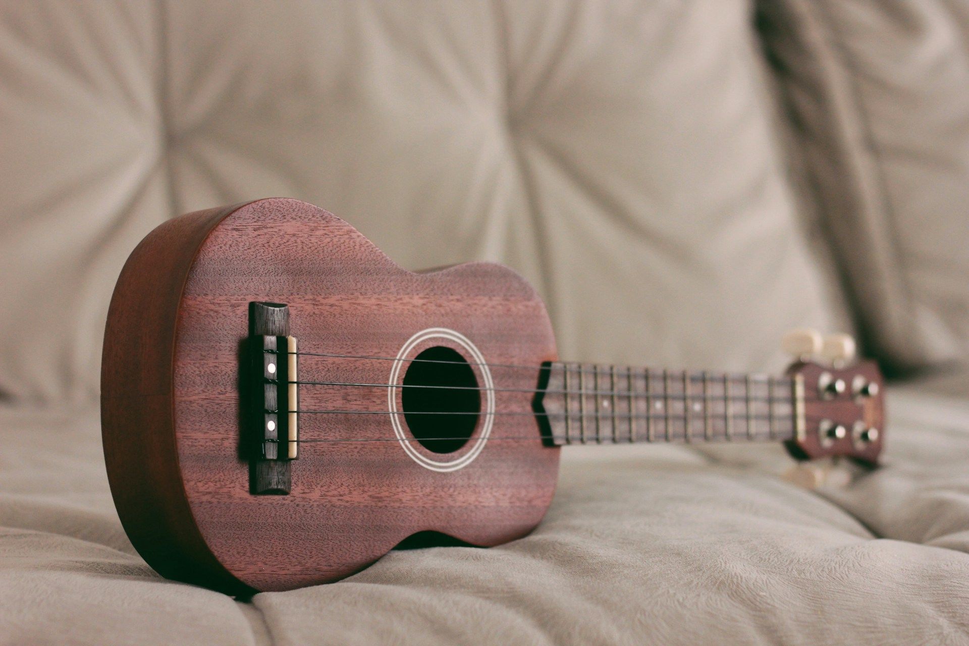 Na 2. února připadá Světový den ukulele / © Unsplash