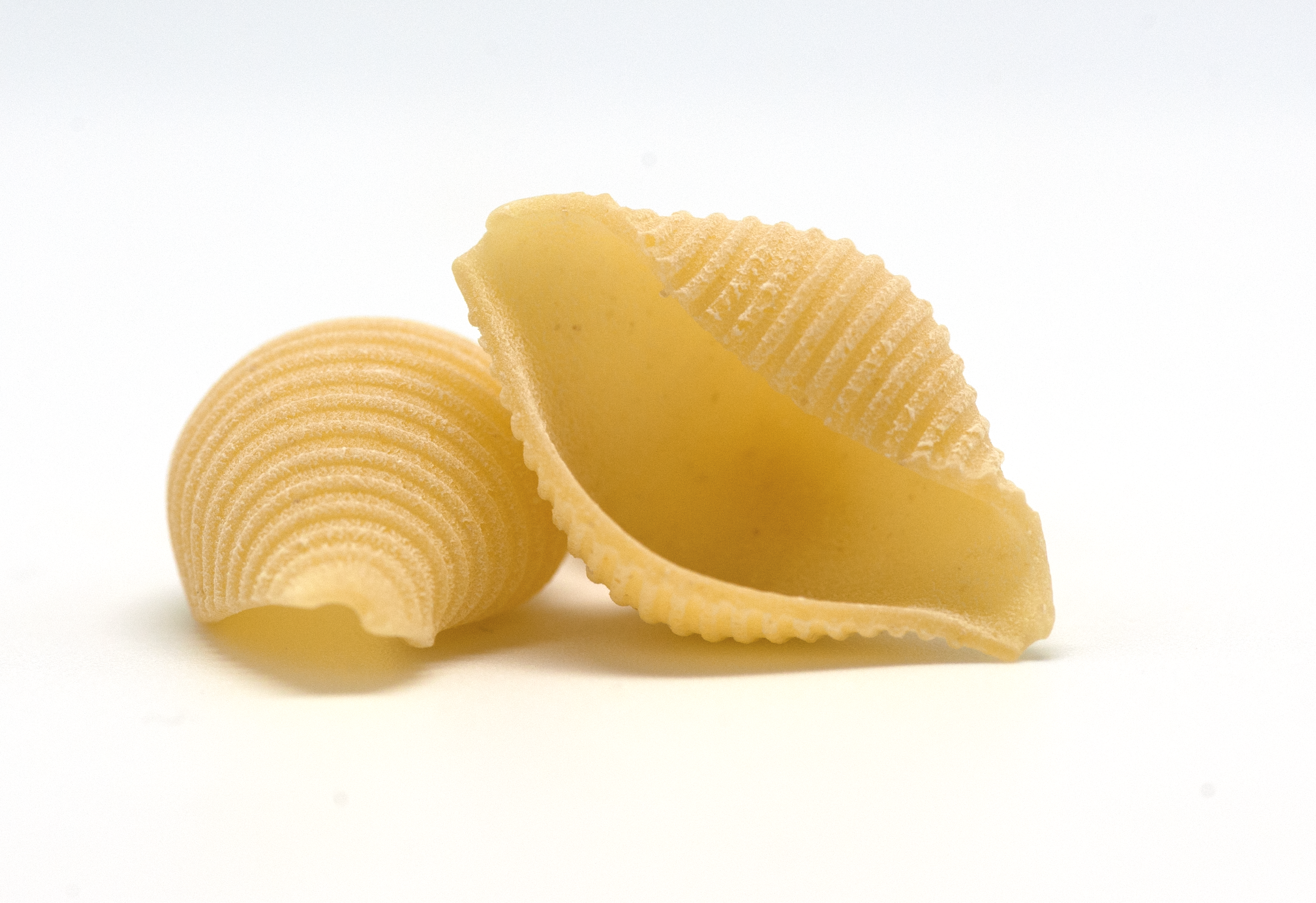 Conchiglie nebo Mushley / © commons.wikimedia.org