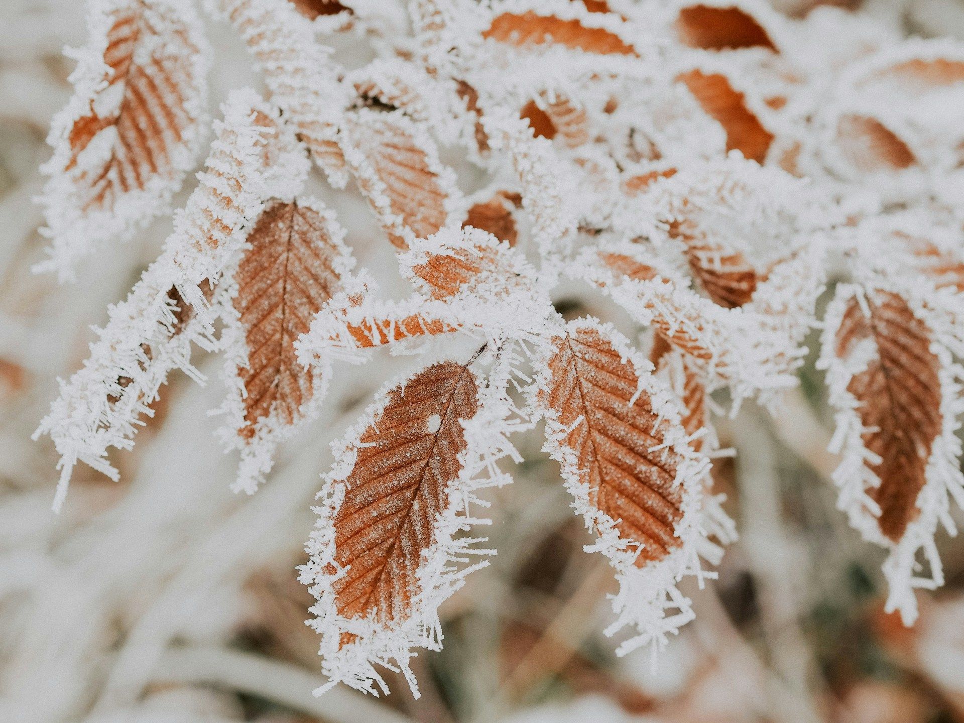 Lidové věštby na 28. února / © Unsplash