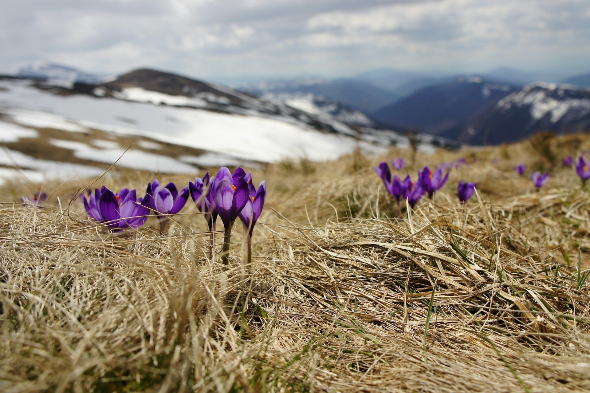 Jaké je počasí 9. března, takové bude 40 dní / © Unsplash