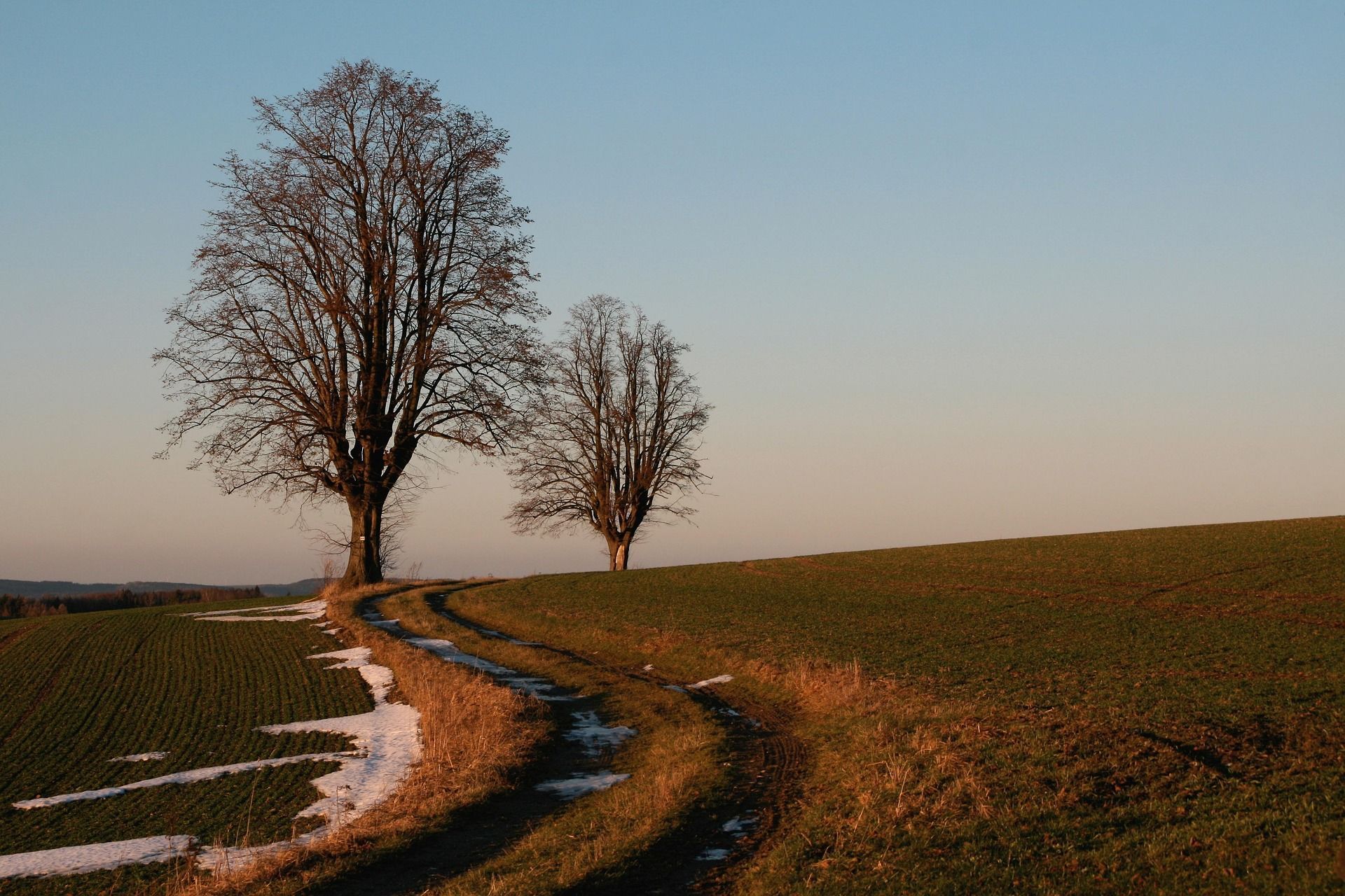 Lidové věštby na 3. března / © pixabay.com